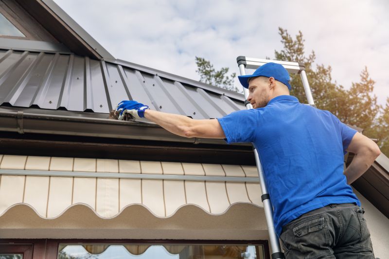 Gutter Inspection and Cleaning